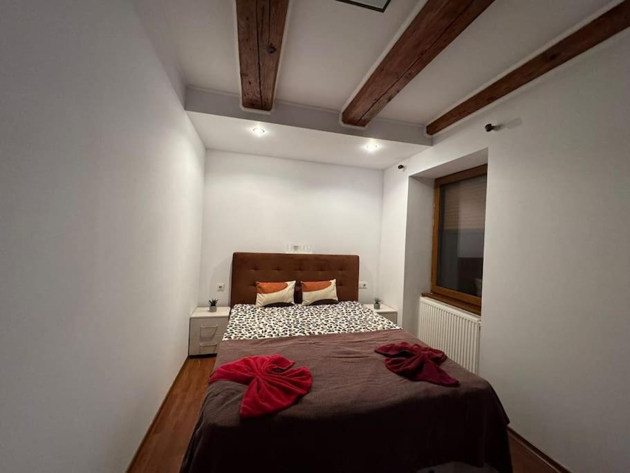 Iazi Apartament Brasov Bagian luar foto