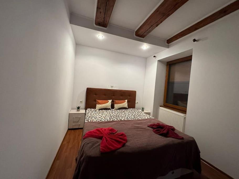 Iazi Apartament Brasov Bagian luar foto