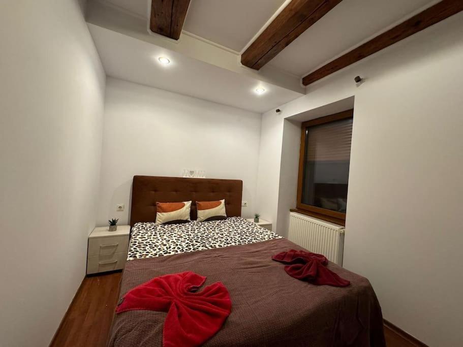 Iazi Apartament Brasov Bagian luar foto