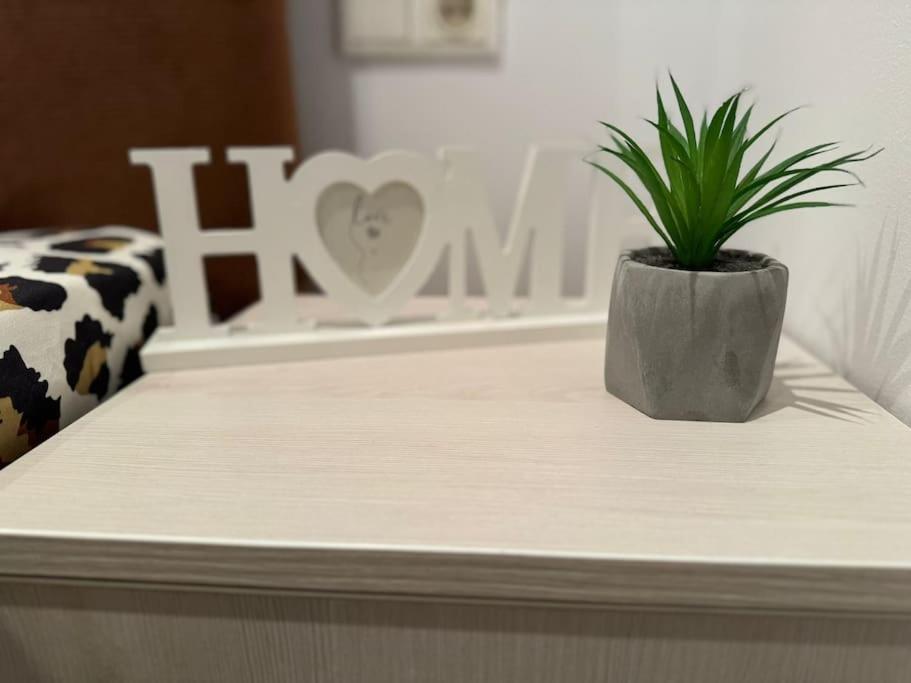 Iazi Apartament Brasov Bagian luar foto